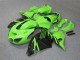 Online ZX14R ZZR 1400 06-11 Verkleidungen - Grün Schwarz