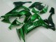 Online ZX10R 08-10 Verkleidungen - Grüne Flamme Online ZX10R 08-10 Verkleidungen - Grüne Flamme