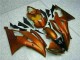 Online R6 08-16 Verkleidungen - Orange Online R6 08-16 Verkleidungen - Orange
