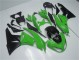 Online ZX6R 09-12 Vollverkleidung - Grün Schwarz Online ZX6R 09-12 Vollverkleidung - Grün Schwarz